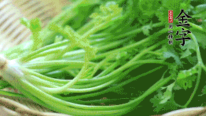 挑選鮮嫩的香菜，洗干凈后，處理成小段。